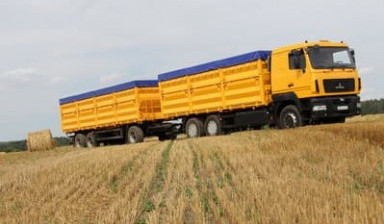 Объявление от Альбина: «Доставка зерновозом» 1 фото