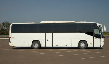 Объявление от Сергей: «Заказной автобус аренда. Перевозка пассажиров.» 1 фото