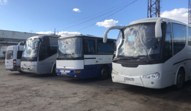 Объявление от Алексей: «Пассажирские перевозки автобусом, микроавтобусом» 3 фото