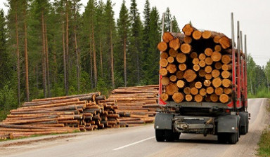 Объявление от Денис: «Перевозка лесоматериалов. Услуги лесовоза.» 1 фото