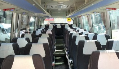 Пассажирские перевозки автобусами от 7 до 47 мест