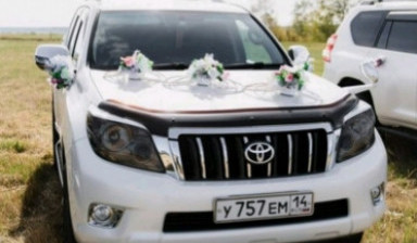 Авто на вашу свадьбу с водителем