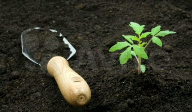 Объявление от СТРОИТЕЛЬНОЕ ТАКСИ: «Грунт плодородный для сада и огорода» 1 фото