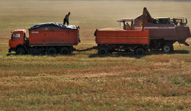 Объявление от Андрей: «Камаз сельхозник. Перевозка грузов.» 1 фото
