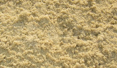 Объявление от СтройДоставка: «Песок карьерный | строительный» 1 фото
