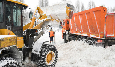 Вывоз снега до 30 тонн