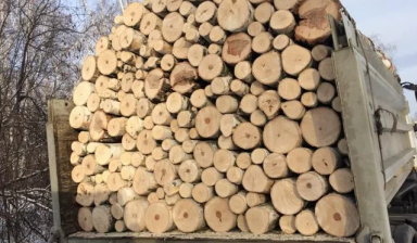 Объявление от Максим: «Продажа дров» 1 фото