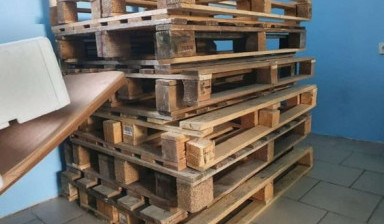 Поддоны деревянные размеры 800 х 1200 мм