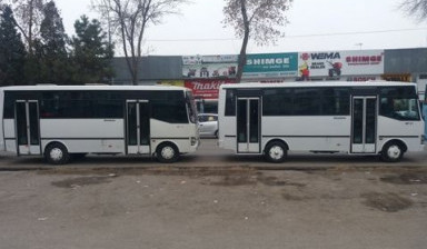 Объявление от Sodiq: «Avtobus xizmatlari» 1 фото