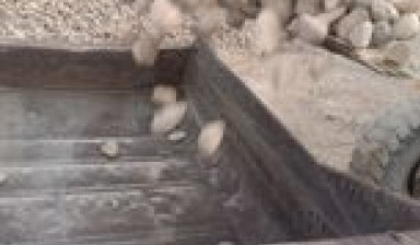 Объявление от Рустам: «Песок кум шебен клинец  турпок» 1 фото