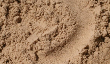 Намывной песок с доставкой  в Вологде