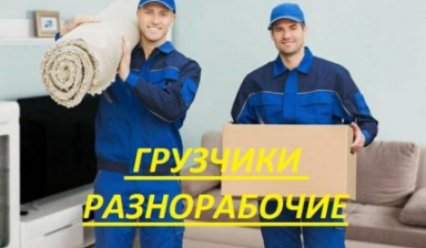 Объявление от Николай: «Услуги грузчиков и разнорабочих» 1 фото