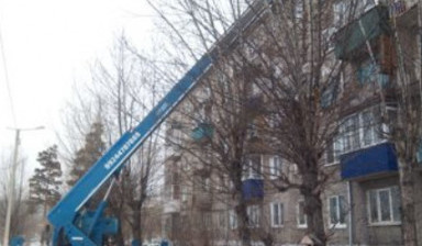Объявление от Алексей: «Услуги сруба деревьев | Аренда» 1 фото