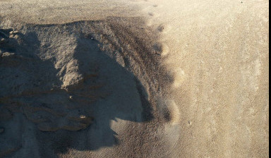 Объявление от Александр: «Доставка песка» 1 фото