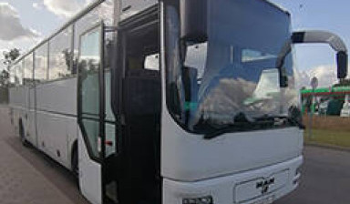 Объявление от Павлючков Максим: «Комфортабельный автобус на 49 мест.» 1 фото