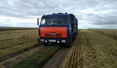 Объявление от Дмитрий: «Грузоперевозка зерновоз не дорого» 1 фото