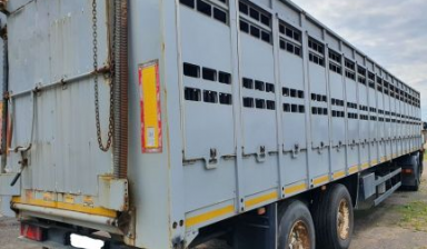 Объявление от Руслан: «Перевозка скота (крс, мрс, лошадей, свиней)» 1 фото