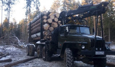 Урал лесовоз, вывоз леса