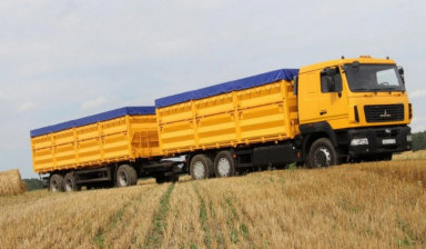 Объявление от Виктор: «Занимаемся перевозкой зерна, кормов» 1 фото