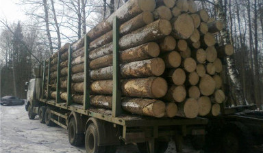 Объявление от ГражданПромСтрой: «Перевозка леса. Полуприцеп в аренду.» 2 фото