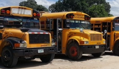 Объявление от Miller Transportation: «School bus rental» 1 photos