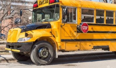 Объявление от Greyhound: Bus Stop: «Transportation of children to school» 1 фото