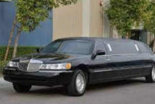 Объявление от Blanchard Limousines, LLC: «Fast transportation by limousine» 1 photos