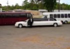 Объявление от Five Star Limos: «Transportation and rental of a limousine» 1 photos