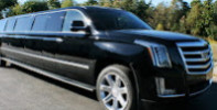 Объявление от Premier Limo And Town Cars Services: «Transportation by limousine, limousine rental» 1 photos