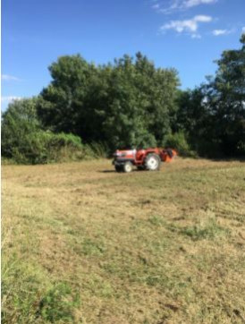 Объявление от Алексей: «Покос травы, камыши, трактор, качество лучше тримм» 2 фото