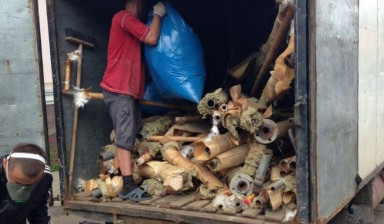 Объявление от Геннадий: «Вывоз и утилизация отхода, мусора» 1 фото