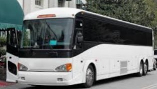 Объявление от Minnesota Coaches: «Rent of buses for transportation» 1 photos