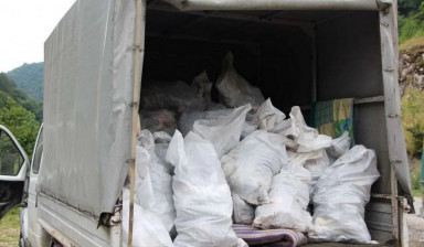 Объявление от Ксения: «Вывоз и утилизация мусора» 1 фото