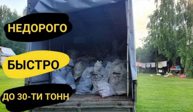 Объявление от Урал Эко: «Вывоз мусора, частник» 1 фото