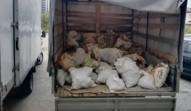 Объявление от Казим Созаев: «Грузоперевозки. грузчики. вывоз мусора» 1 фото