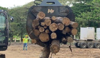 Объявление от United Rentals: «Loading wood, logs» 1 photos