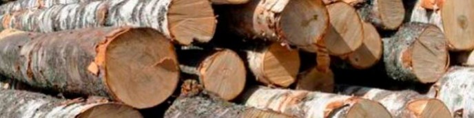 Объявление от Брянскснаблес: «Честная продажа дров» 1 фото