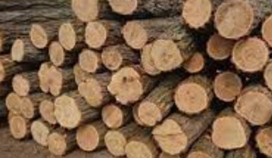Частная доставка дров