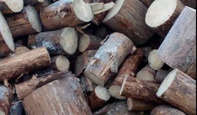 Объявление от Билмарт: «Качественная продажа дров» 1 фото