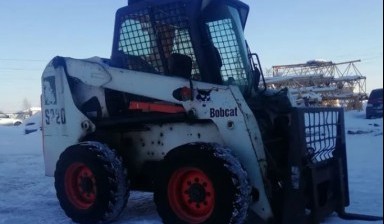 Услуги мини погрузчика Bobcat