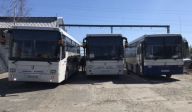 Объявление от Руфат: «Заказ автобусов» 2 фото