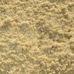 Объявление от ГК Транском: «Строительный песок с доставкой» 4 фото