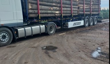 Перевозка лесоматериалов лесовоз 40 тонн длинномер
