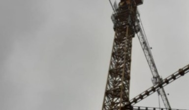 Объявление от Строительная техника: «Аренда башенного крана» 1 фото