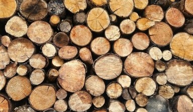 Объявление от Амир: «Колотые дрова Коммерческие перевозки Петропавловск» 1 фото