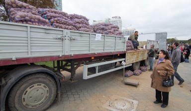 Перевозка вывоз с полей овощей Красноярский край
