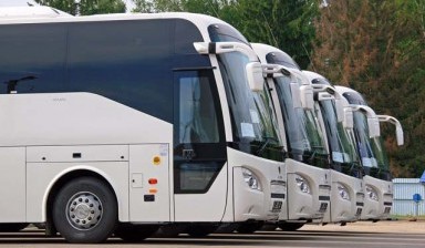 Аренда автобусов и микроавтобусов 16-49 мест