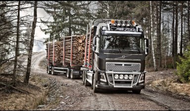 Перевозка грузов, лесовоз Бурятия