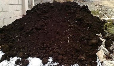 Объявление от Айгуль: «Чернозём, грунт, земля(без травы и мусора)» 1 фото
