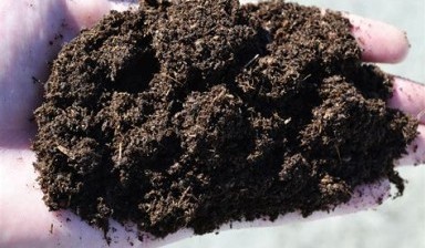 Объявление от Айгуль: «Торф для улучшения почвы» 1 фото